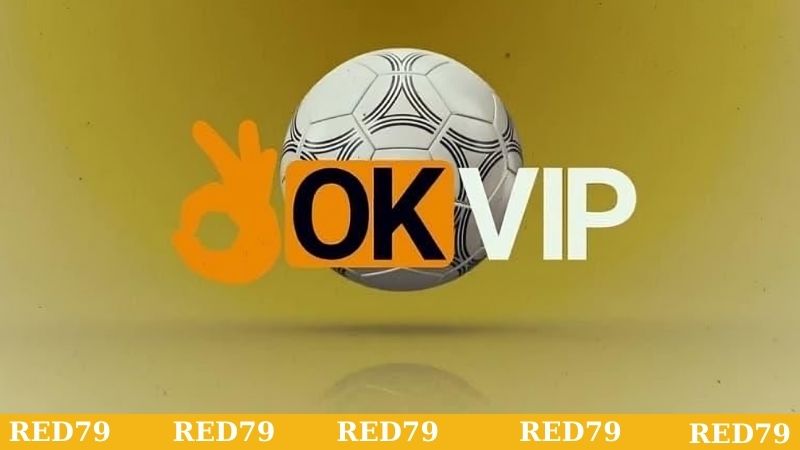Các dịch vụ độc đáo được cung cấp bởi OKVIP