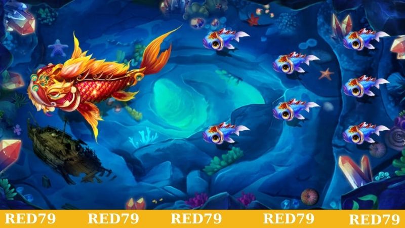 Giải mã cơ chế hoạt động của bắn cá tại Red79