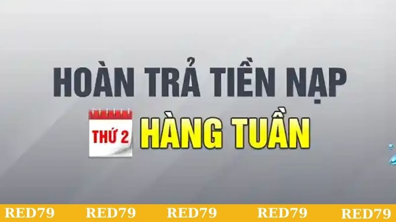Ưu đãi hoàn tiền cược siêu đỉnh tại New88